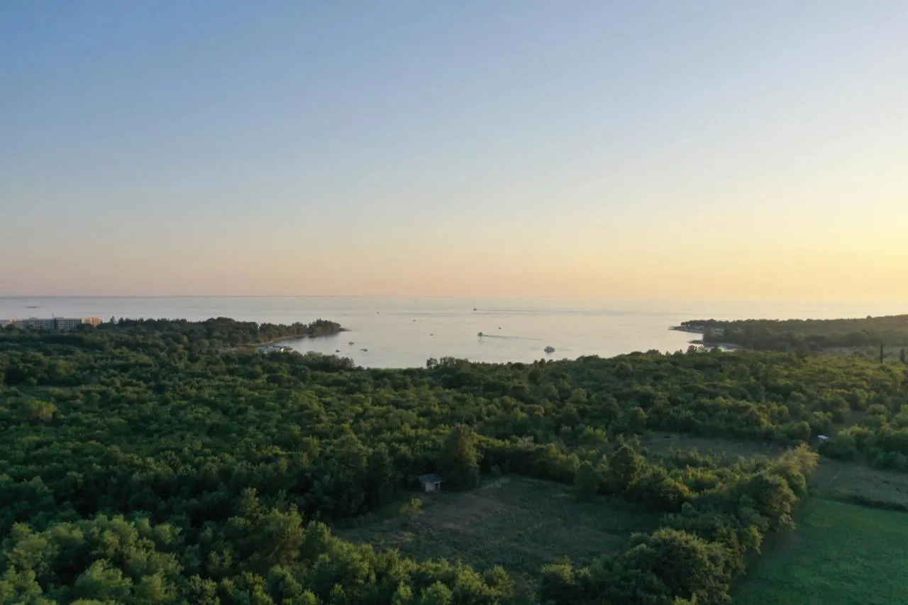 Villa Paco Porec Holiday home