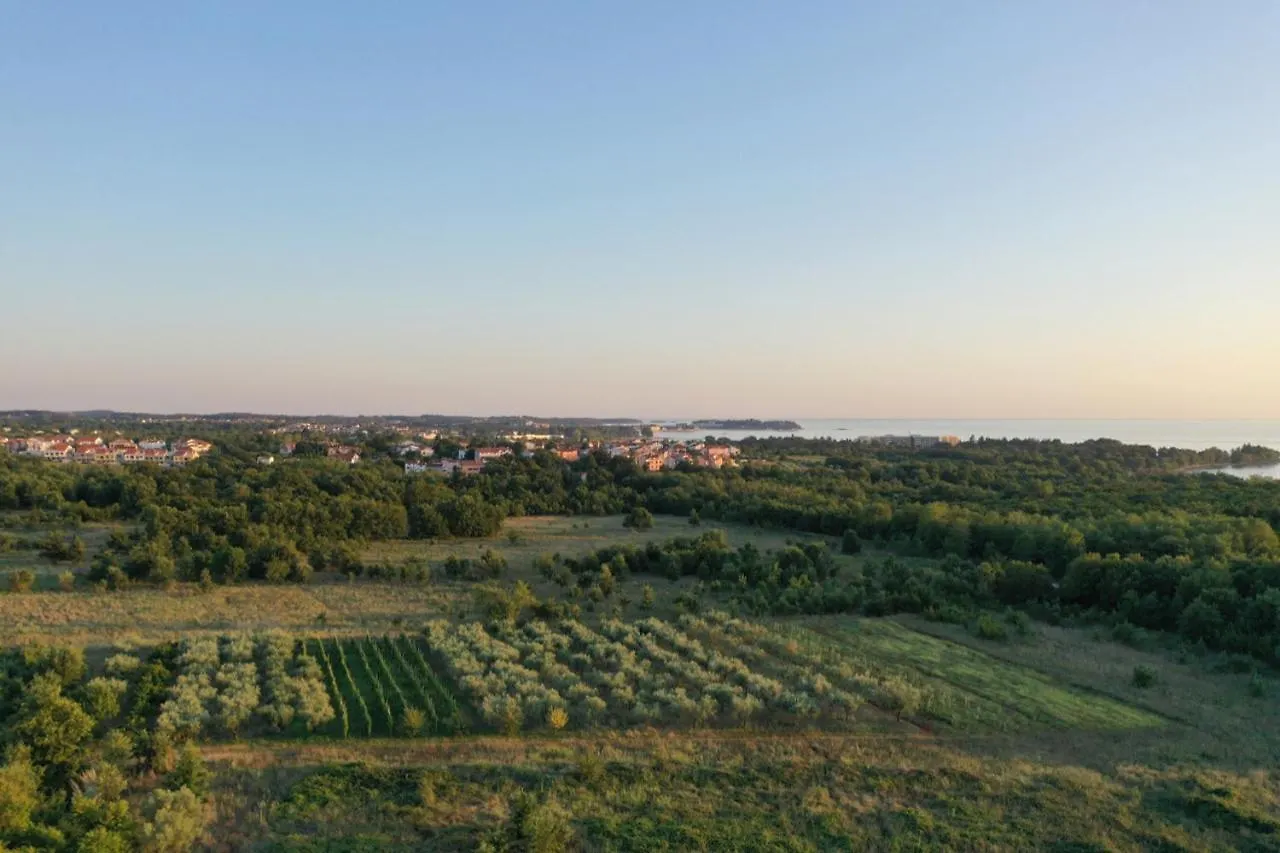 Villa Paco Porec 0*,