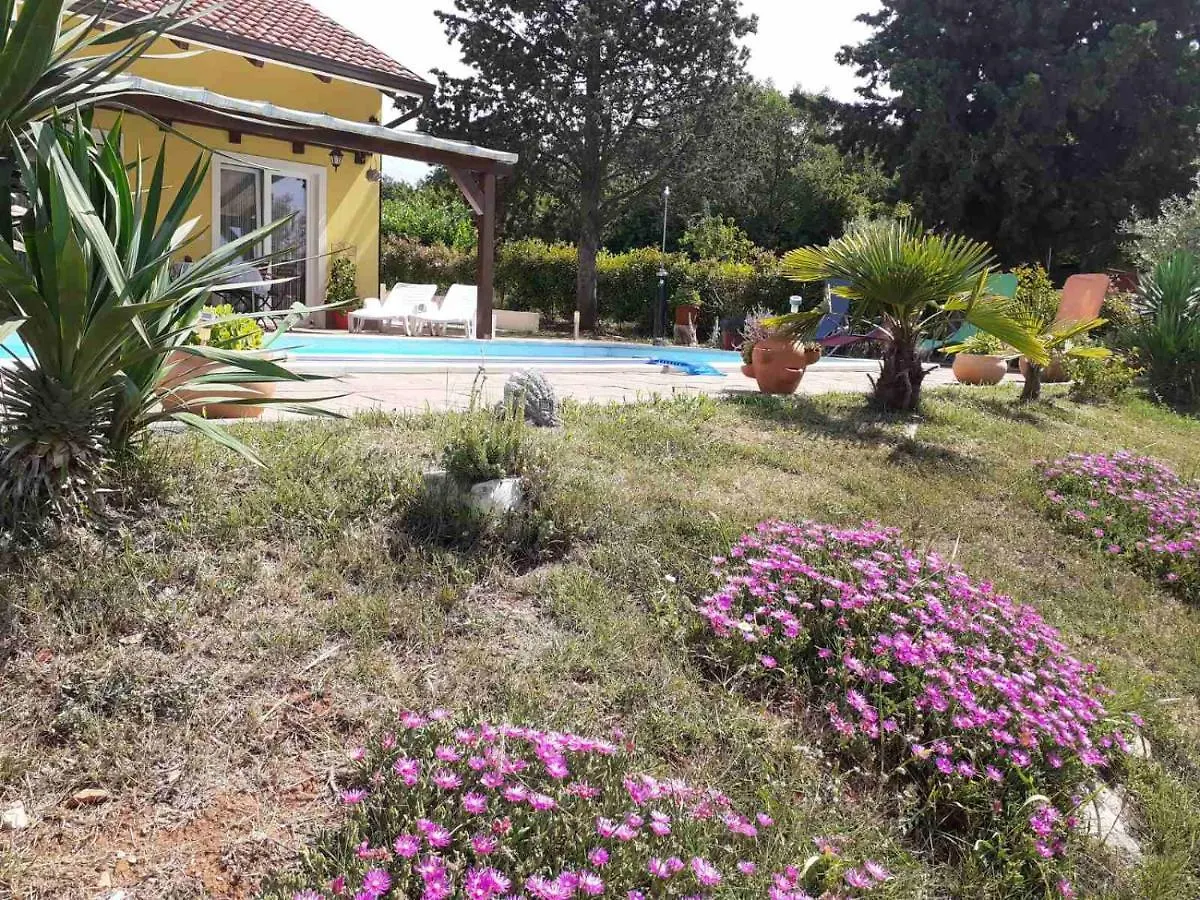 Villa Paco Porec Holiday home