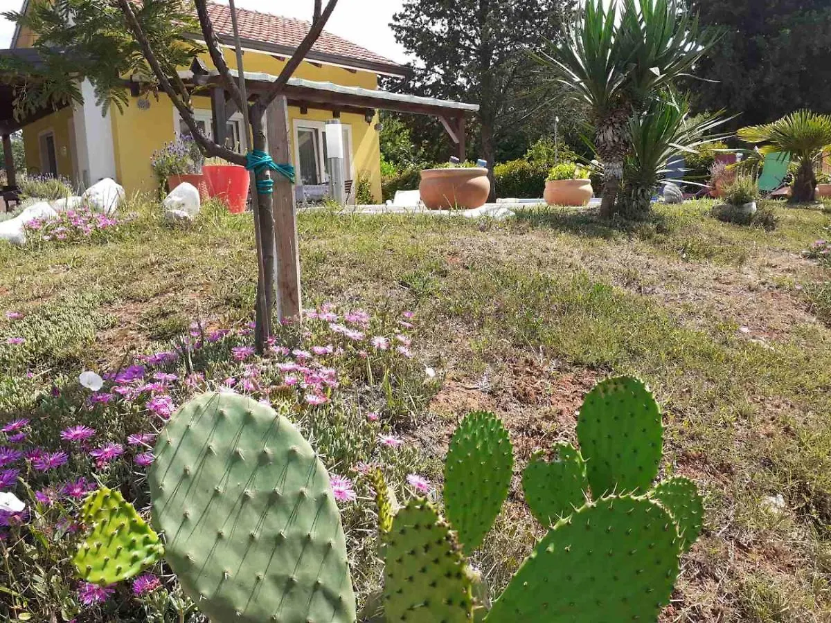 Villa Paco Porec